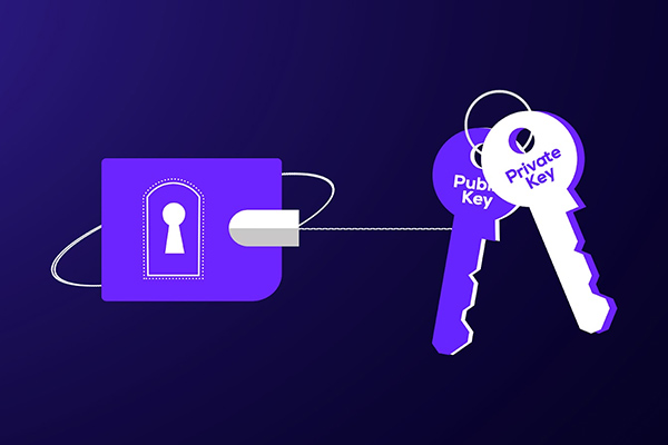 去中心化钱包安全指南：掌控你的私钥