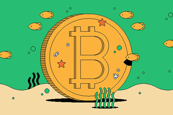 加密货币是金融的未来吗？一场关于信任、效率与权力的变革