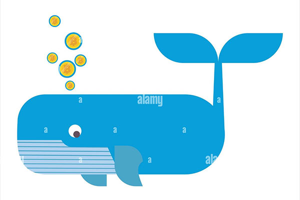 巨鲸地址监控指南：如何判断是真买还是假拉盘